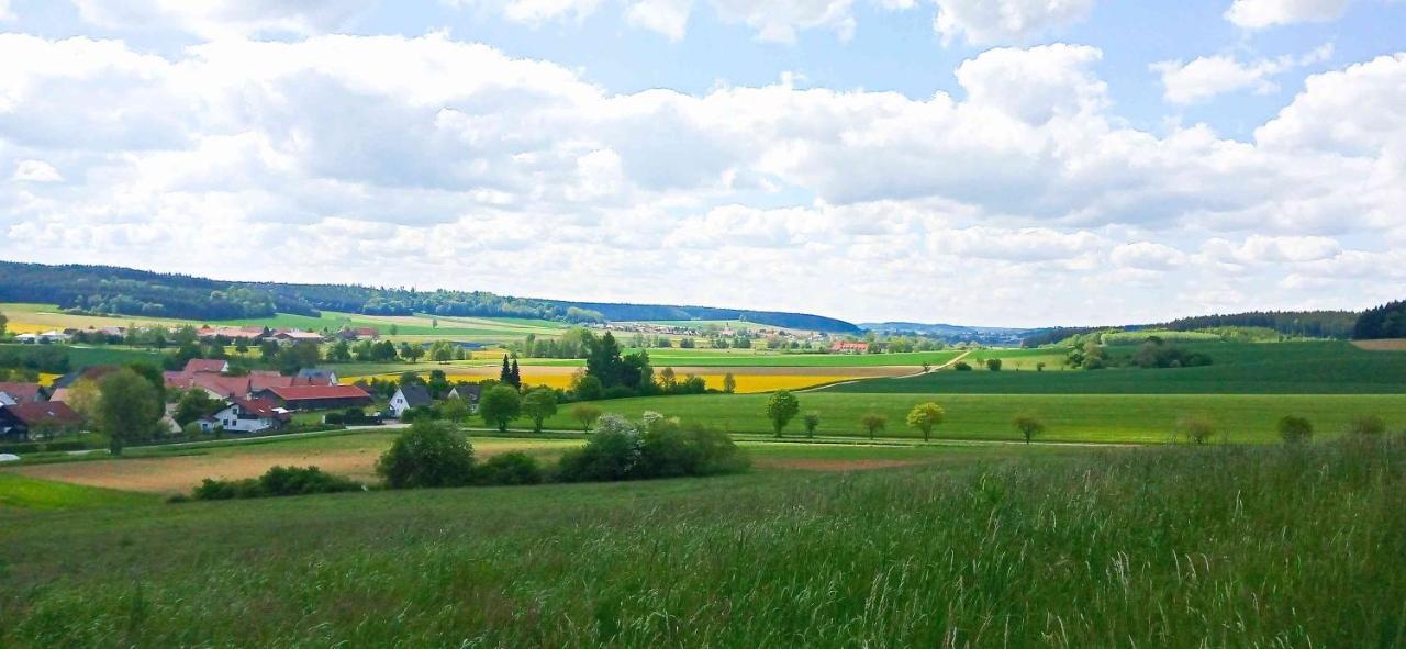 Ferienwohnung Im Barockwinkel Neuburg an der Kammel Eksteriør bilde